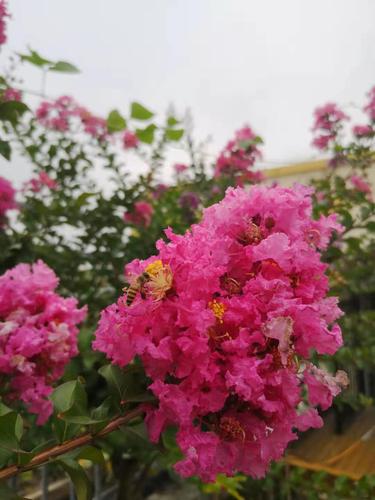 微信图片_20201208180128